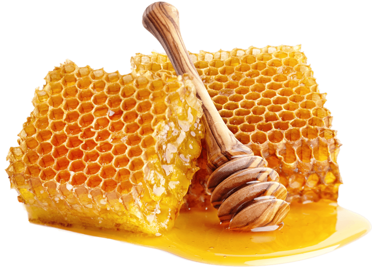 Honeycomb pieces with a wooden honey dipper