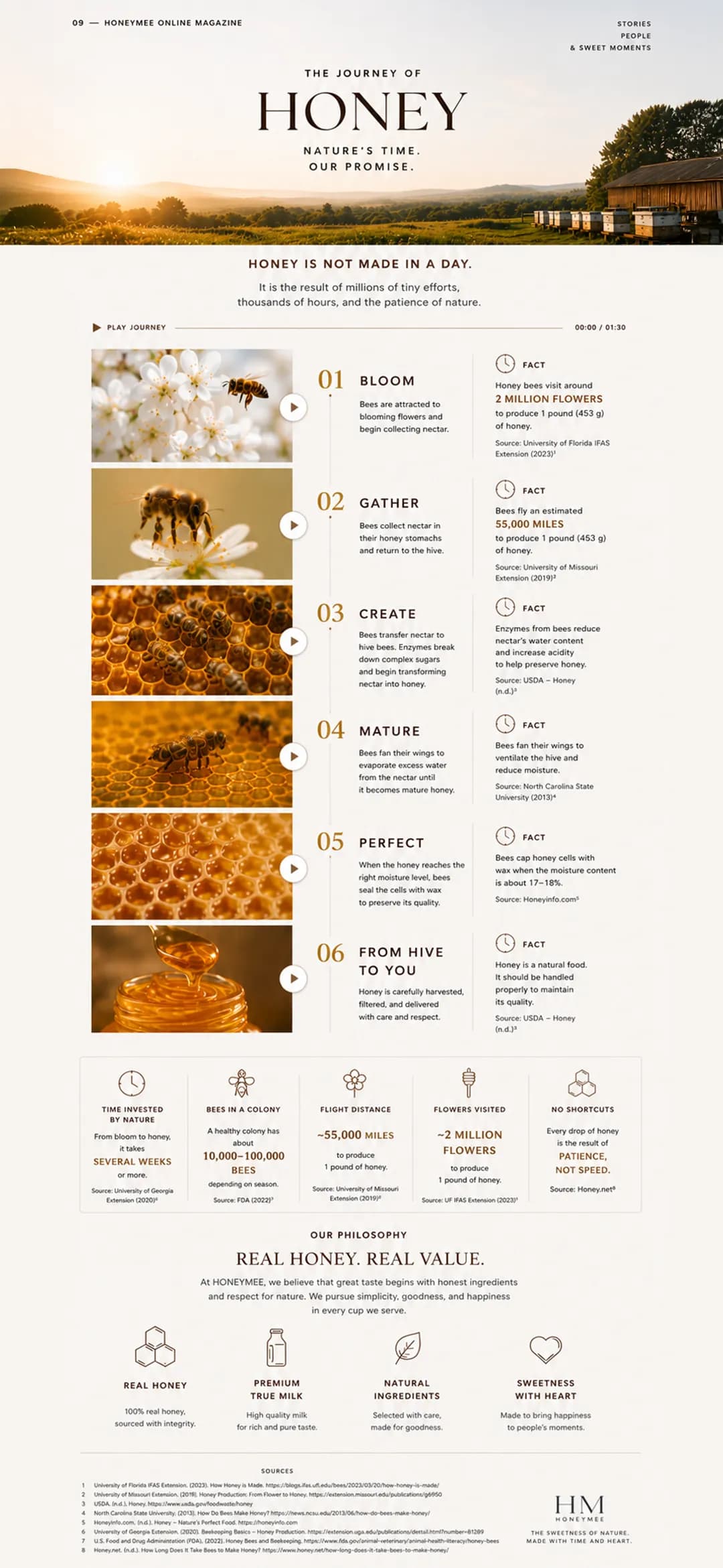 The journey of honey: bloom, gather, create, mature, perfect, and from hive to you. Real honey, real value.